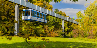 Die H-Bahn fährt und Bäume in herbstlichen Farben sind rechts und links zu sehen.