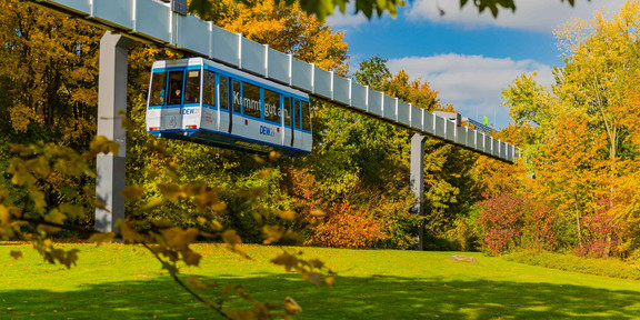 Die H-Bahn fährt und Bäume in herbstlichen Farben sind rechts und links zu sehen.