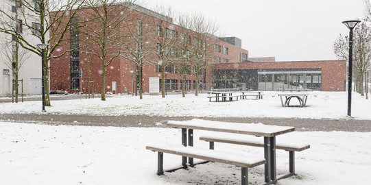 Seats and tables in front of the building SRG I are covered with snow.